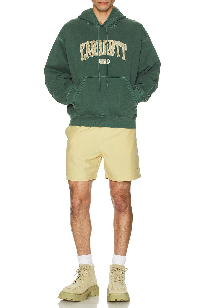 Carhartt Chase Swim Trunks outlook
