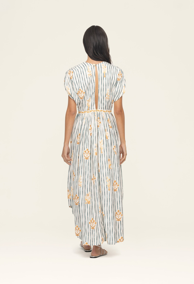 Aire Herbario Maxi Dress 6