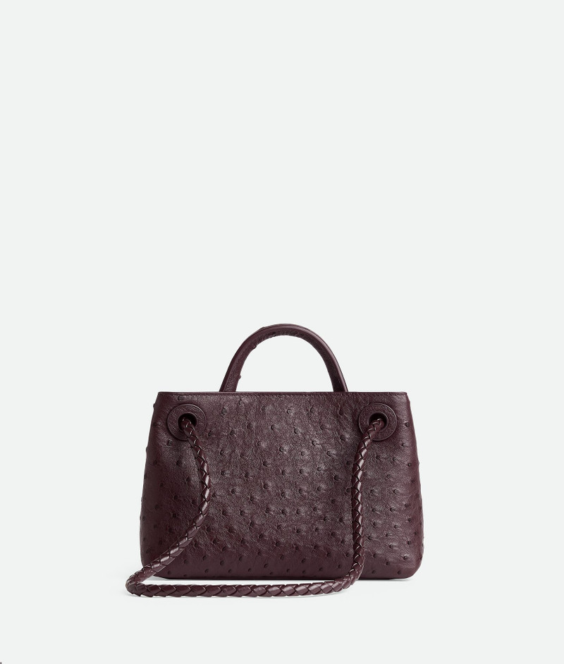 Bottega Veneta Mini Andiamo outlook