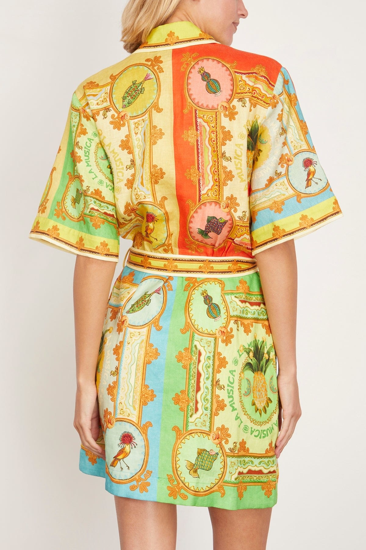 La Musica Mini Dress in Multi - 4