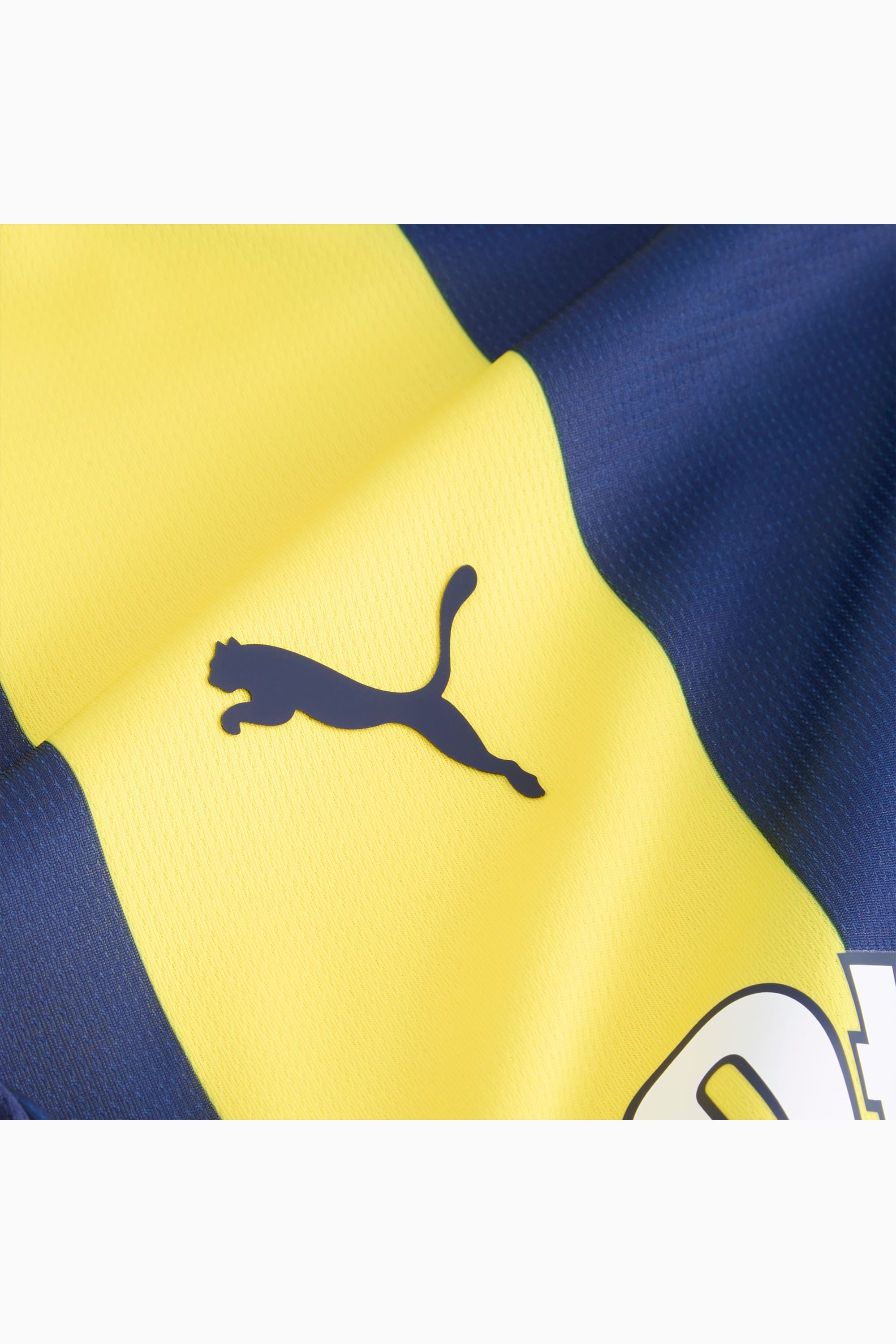 Fenerbahçe SK 24/25 Men's Replica Home Soccer Jersey - 7