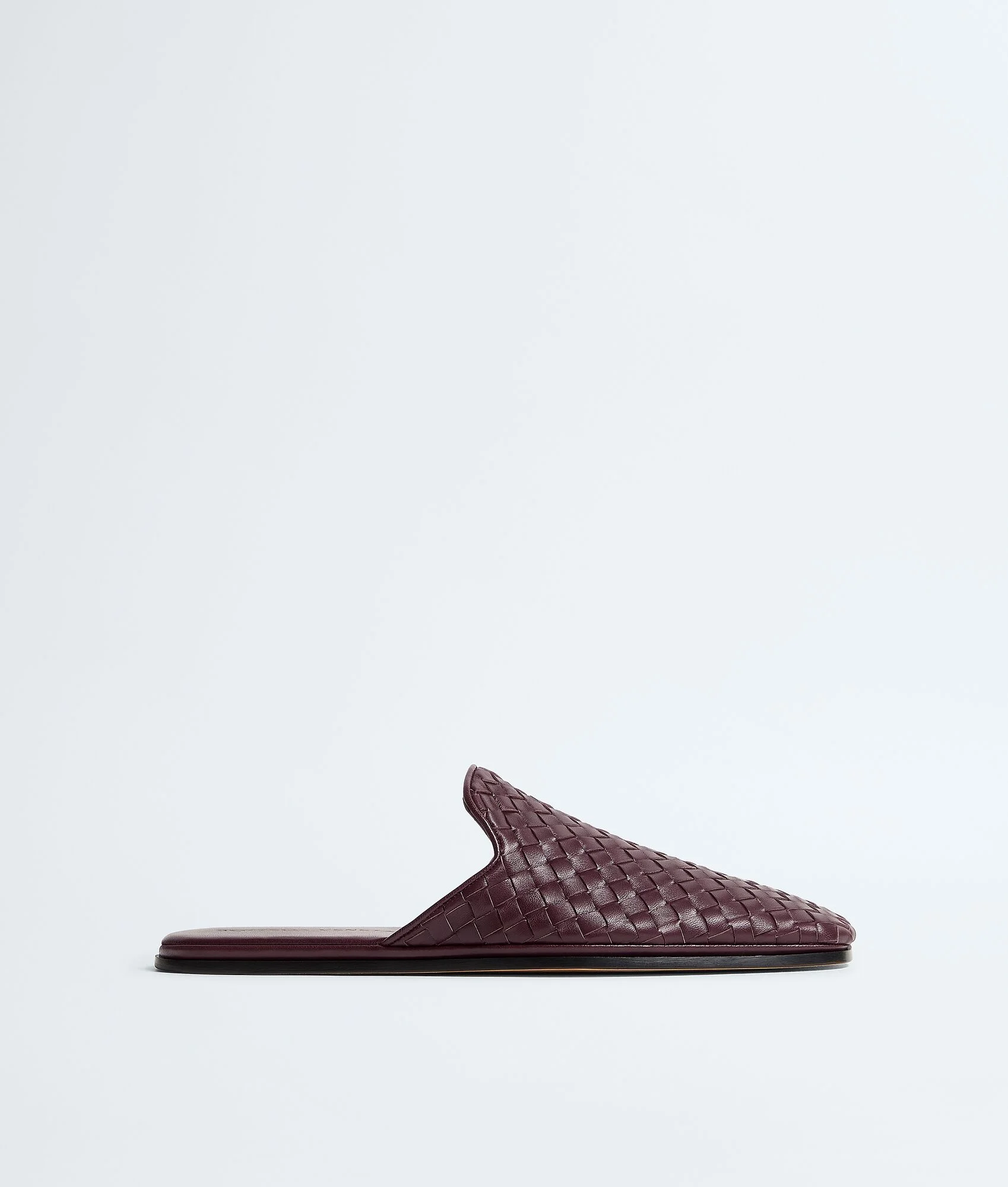 Palazzo Slipper - 1