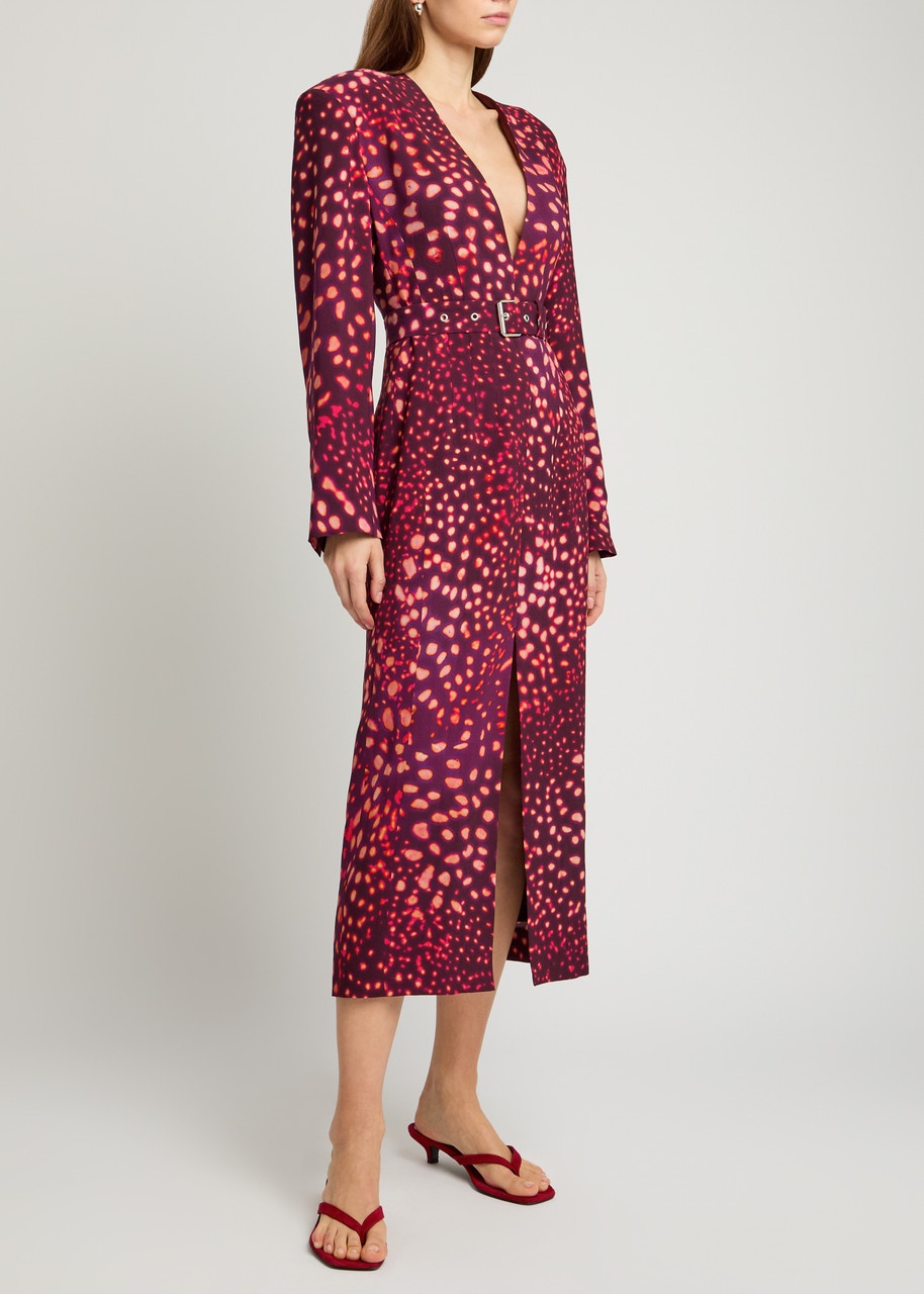 Dries Van Noten Dohana Belted Printed Midi Dress - 2