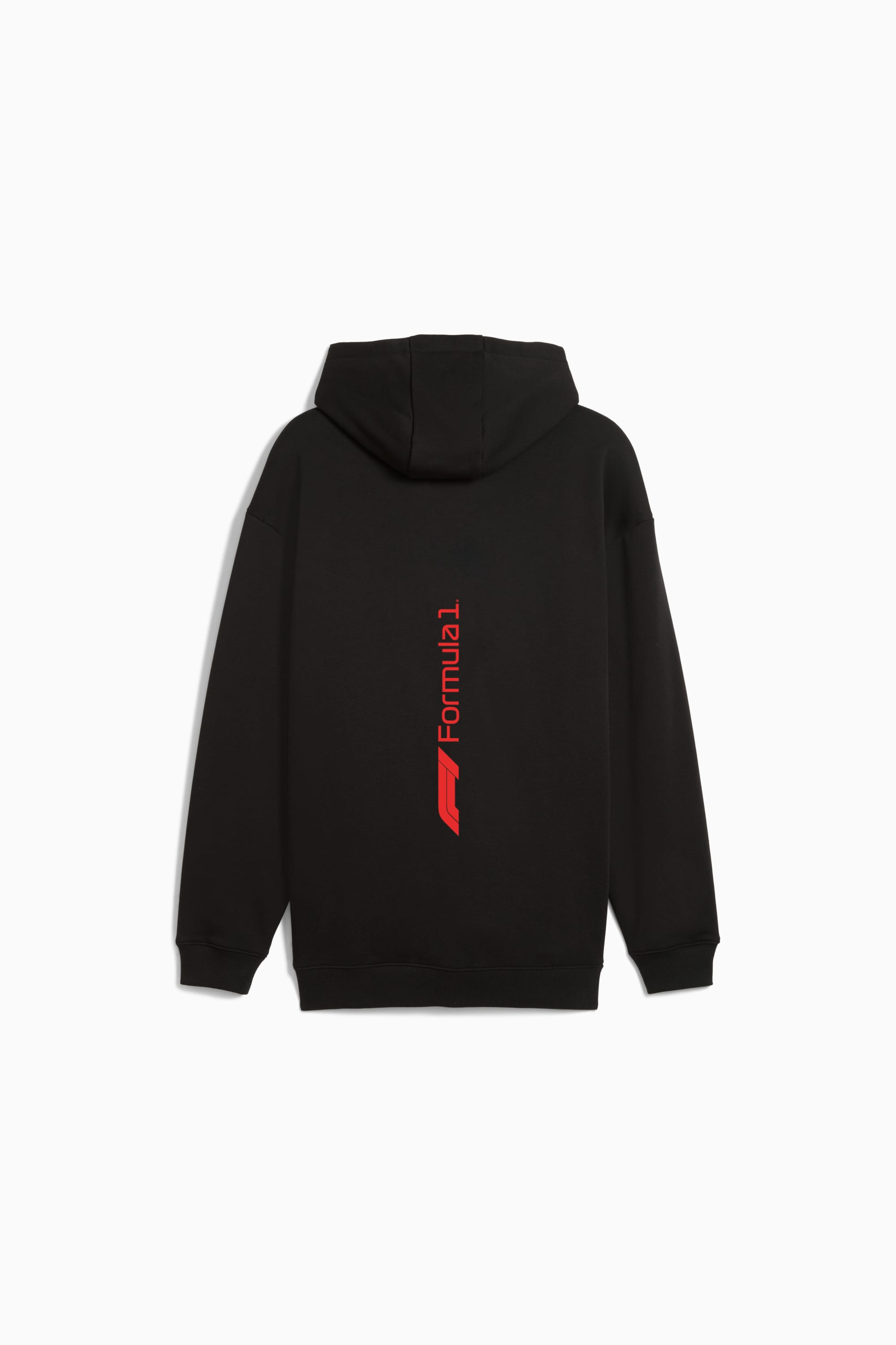 Formula 1® Motorsport Essentials Men's Zip-Up Hoodie - 2