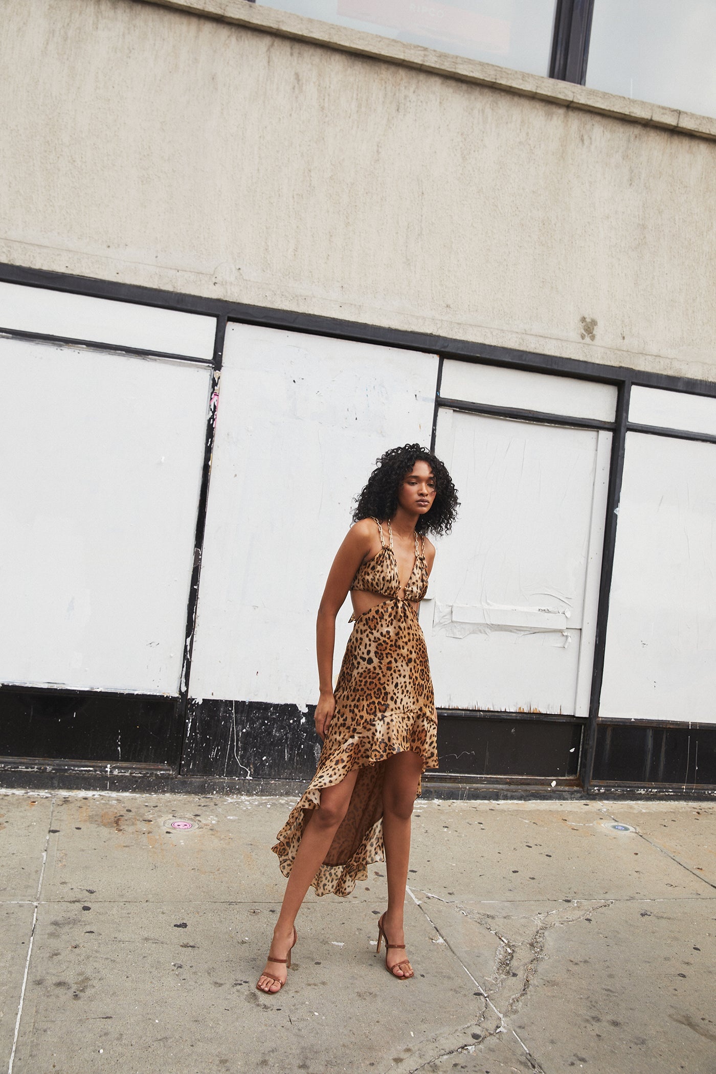 Leopard Halter Dress - 4