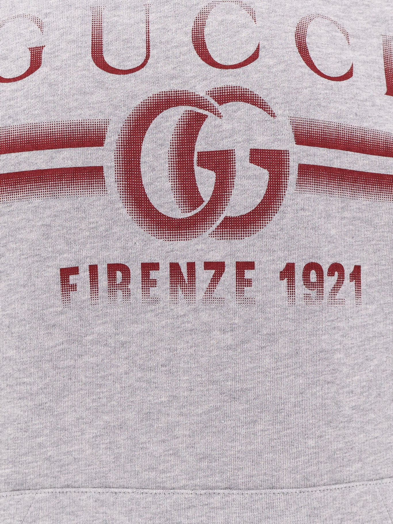Cotton Jersey Hooded Sweatshirt - 3
