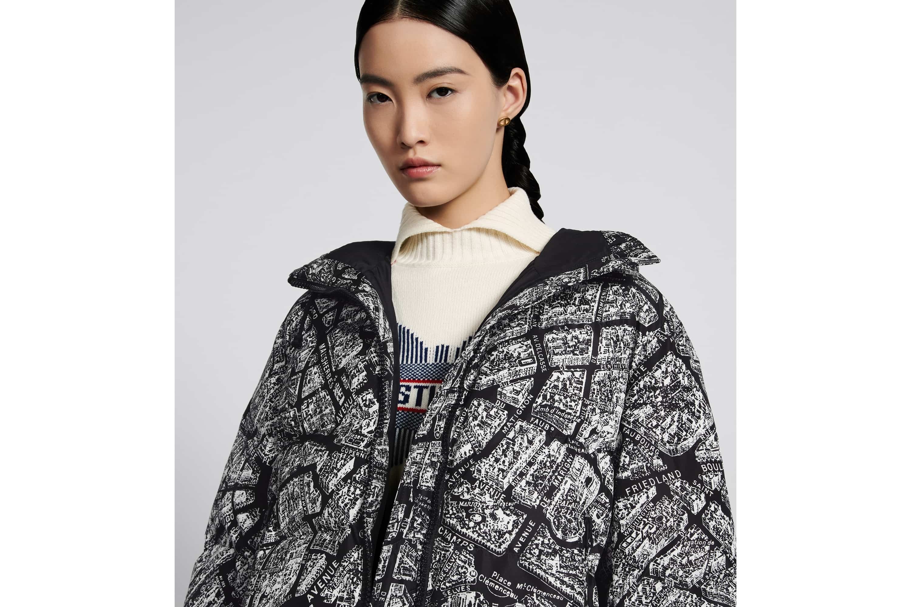 DiorAlps Hooded Down Jacket - 5