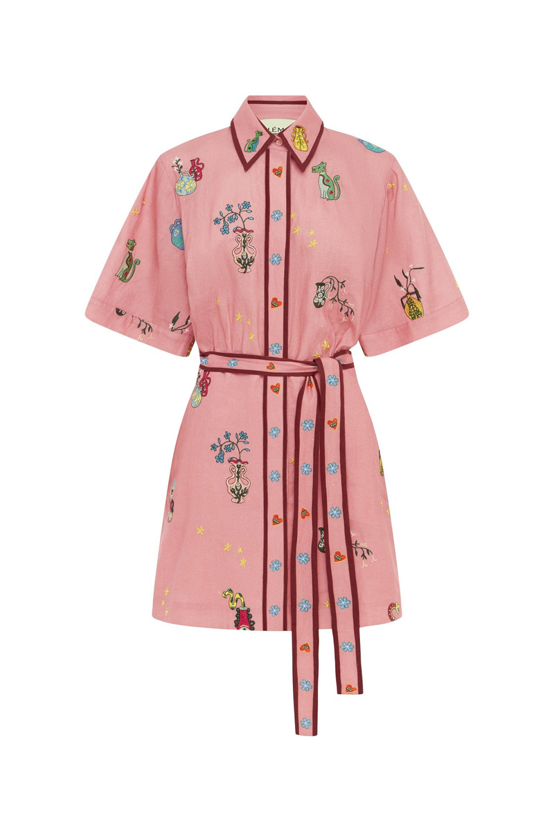 Timmy Embroidered Mini Dress 1