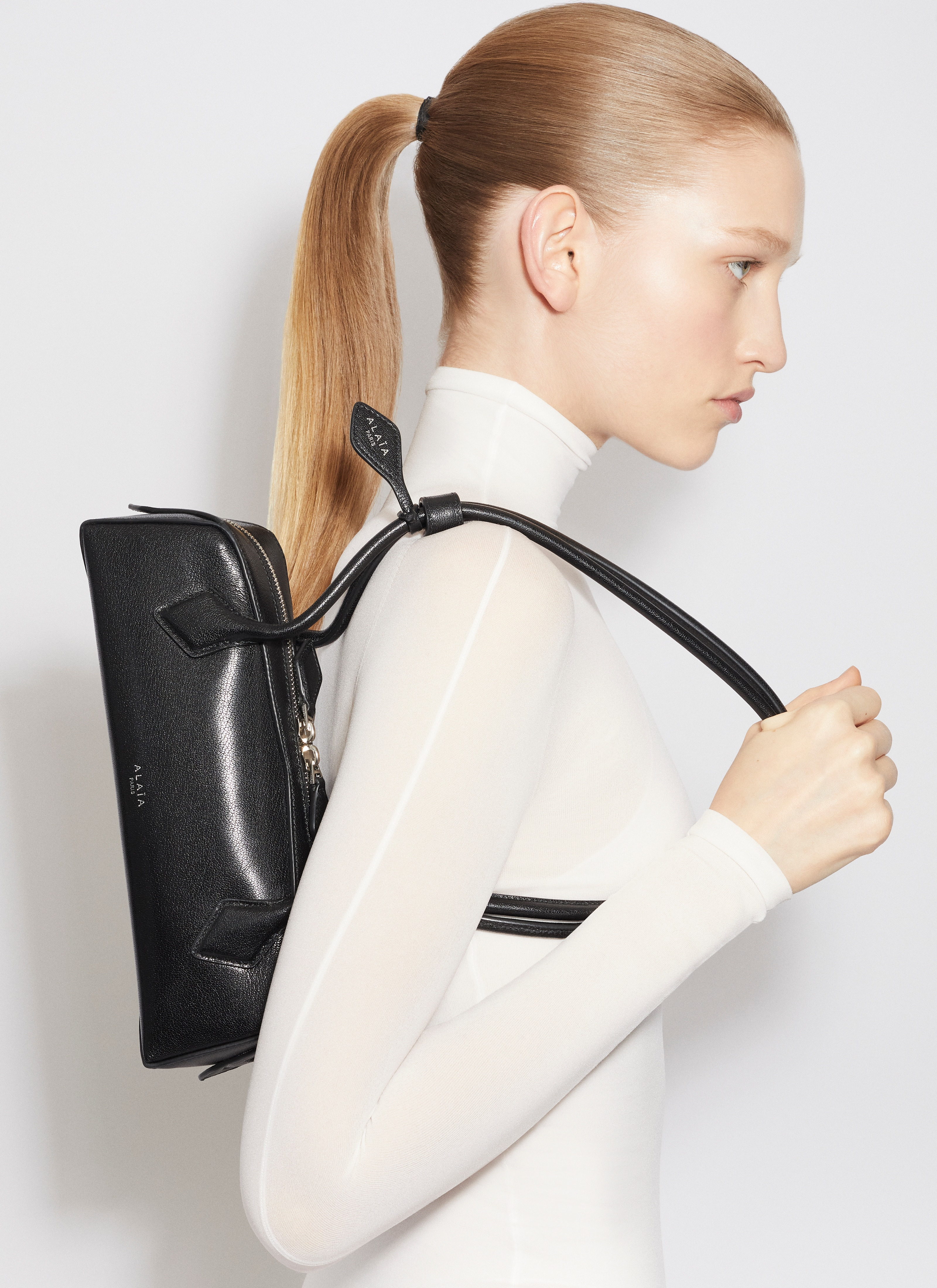 LE TECKEL SMALL IN CALFSKIN - 2