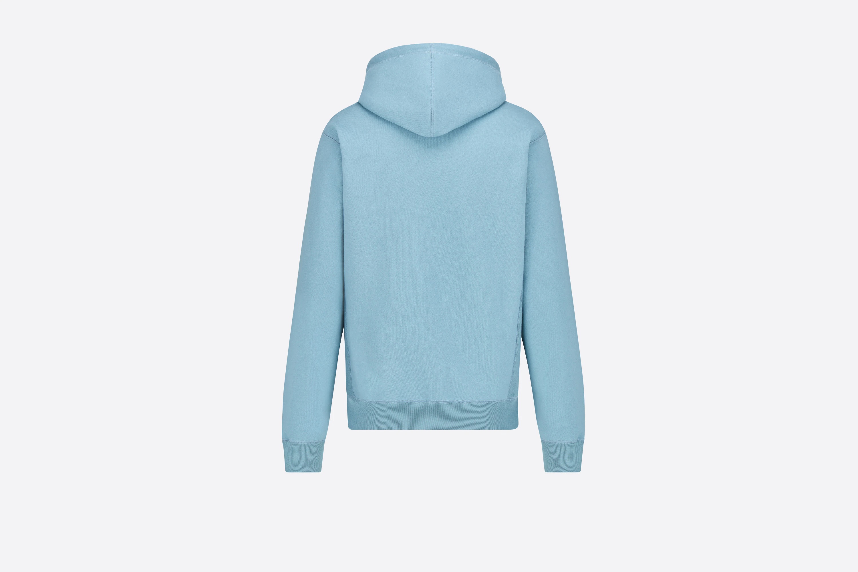 Oversized DIOR AND PETER DOIG Hooded Sweatshirt - 2