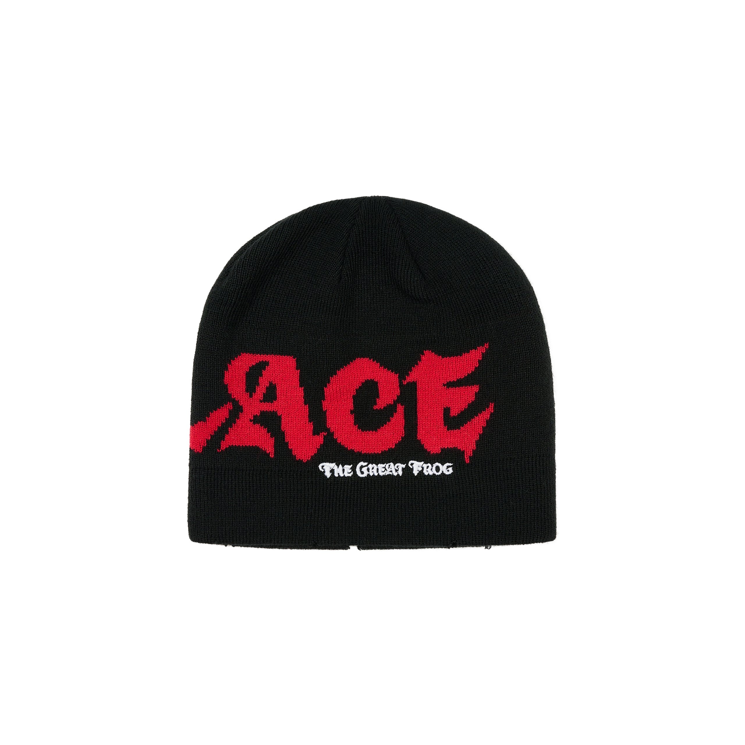 PALACE PALACE TGF BEANIE BLACK | REVERSIBLE