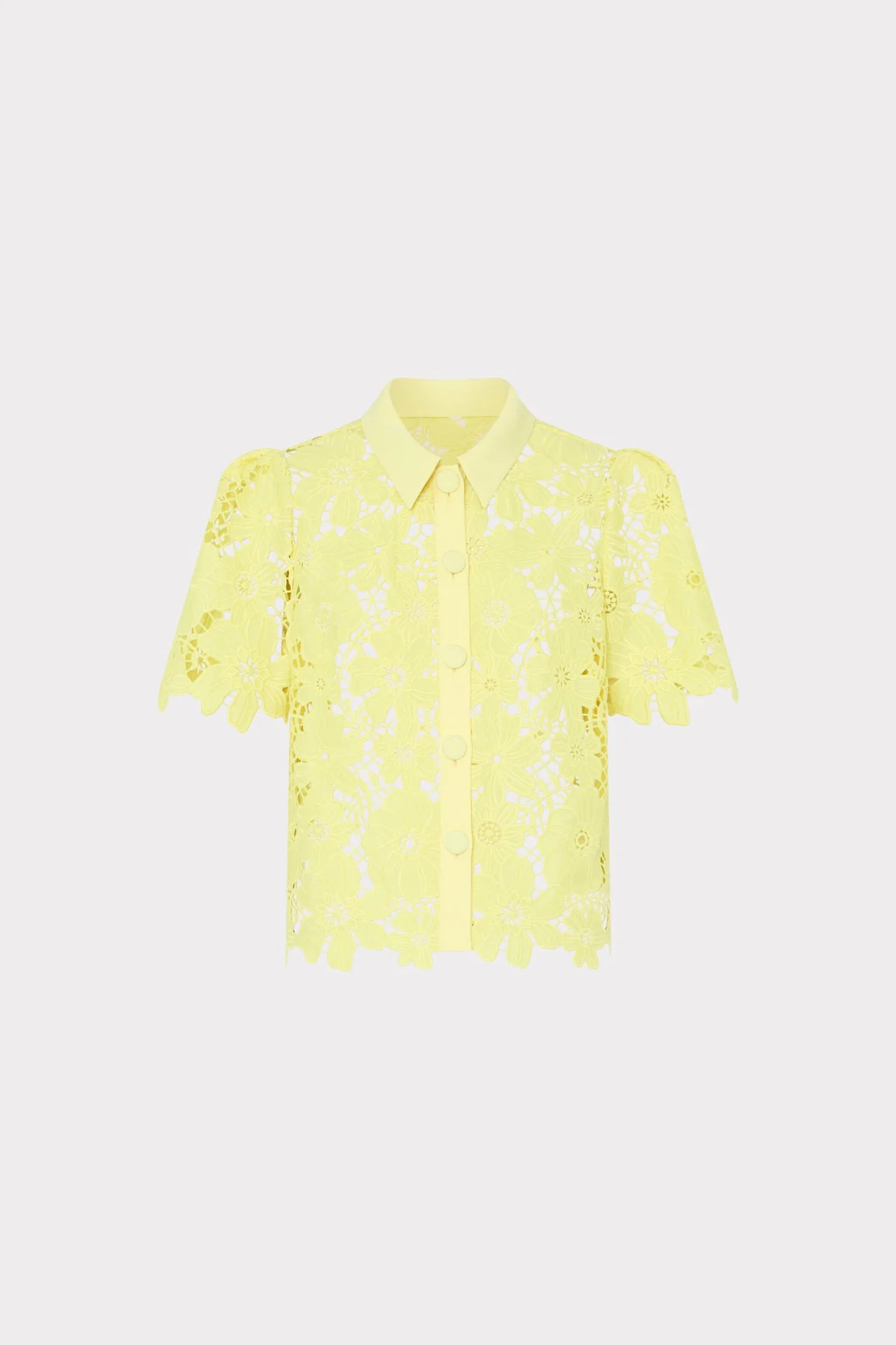 Addison Roja Lace Top - 1