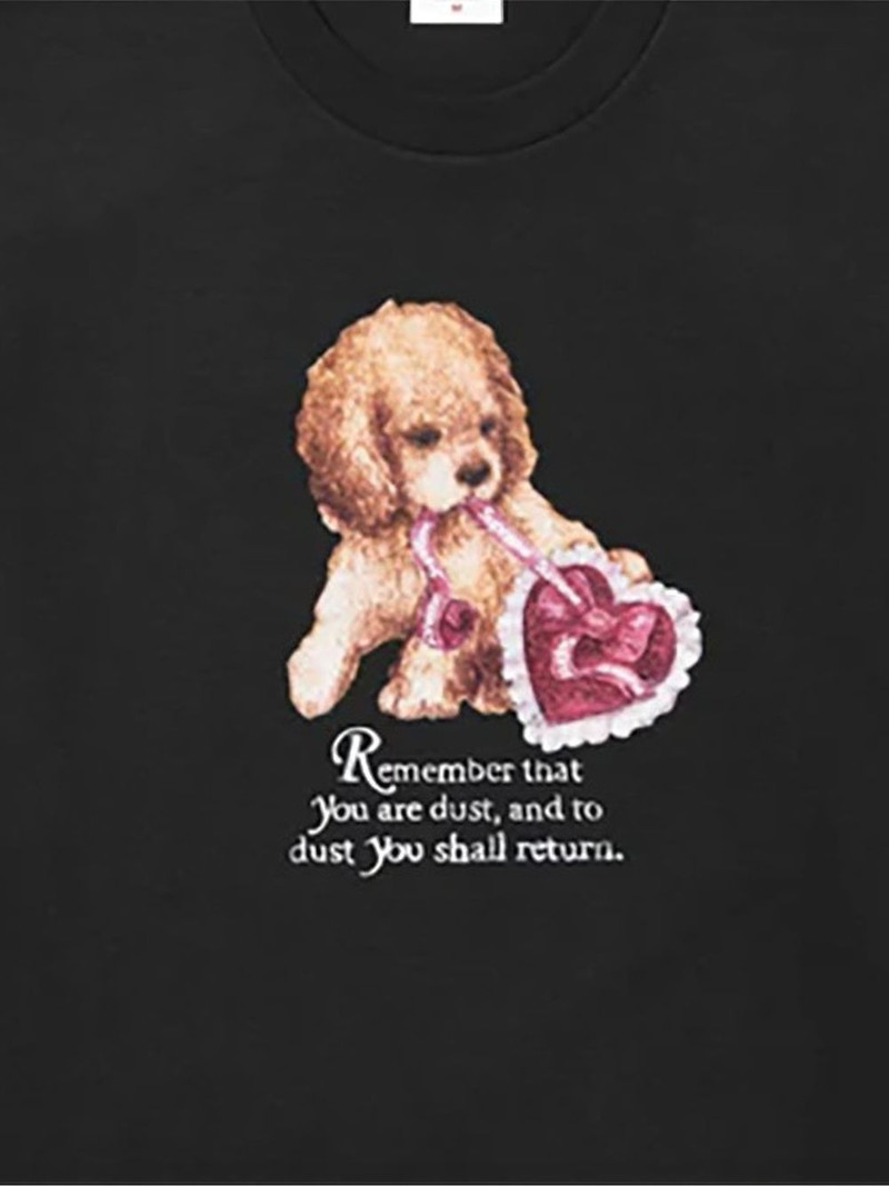 Supreme Dust T-shirt outlook