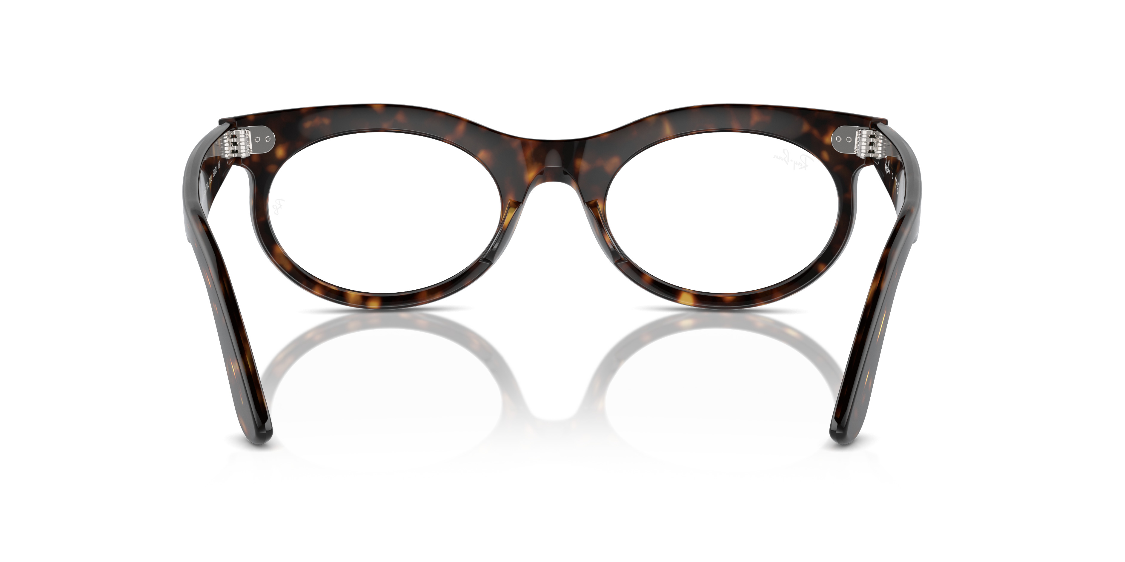 WAYFARER OVAL OPTICS - 6
