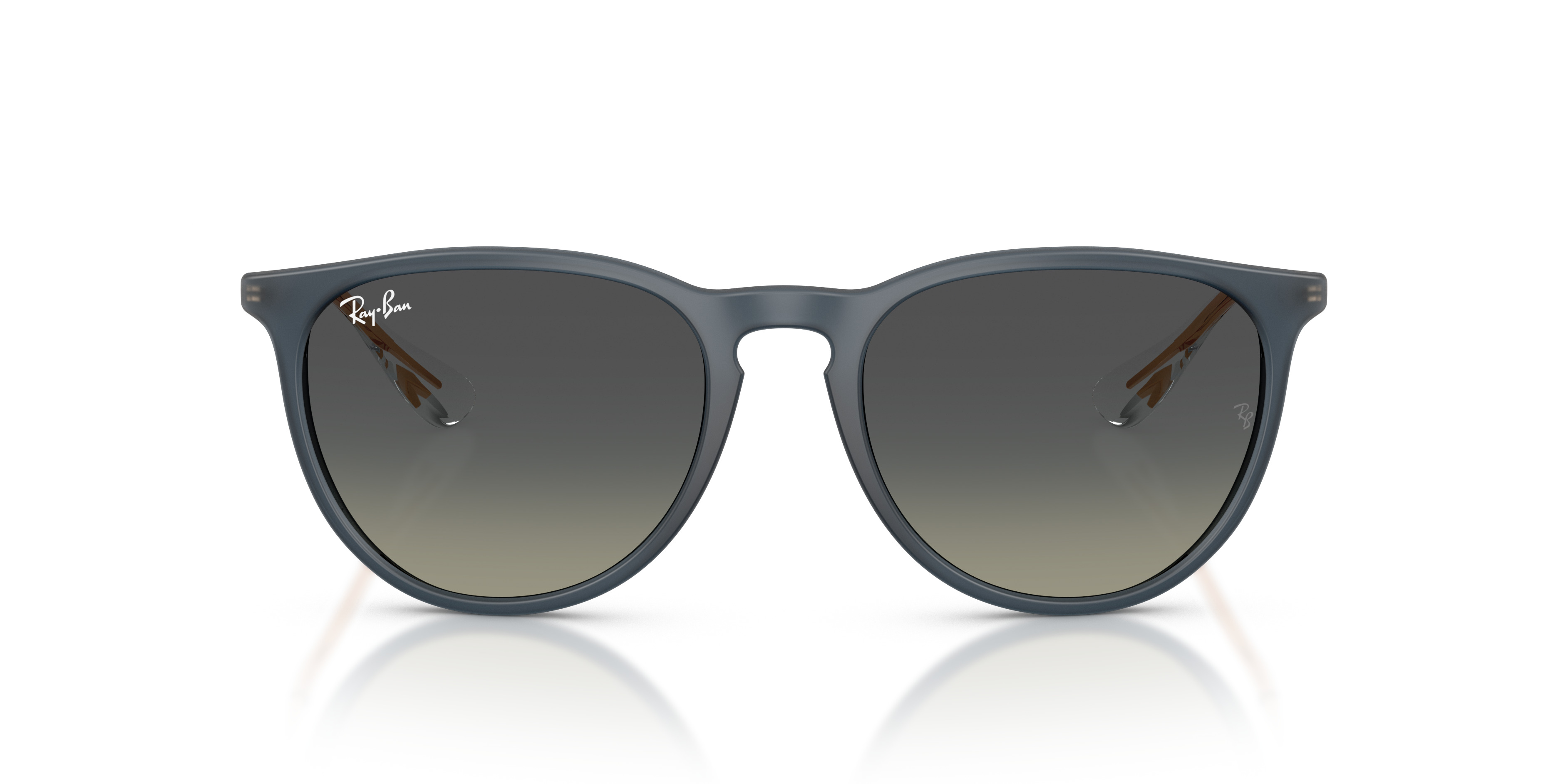 RB4171 Erika Classic - 2