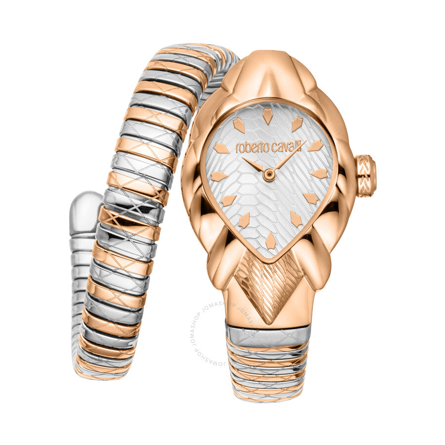 Roberto Cavalli Fiaba Silver-tone Dial Ladies Watch RC5L110M0085 - 1