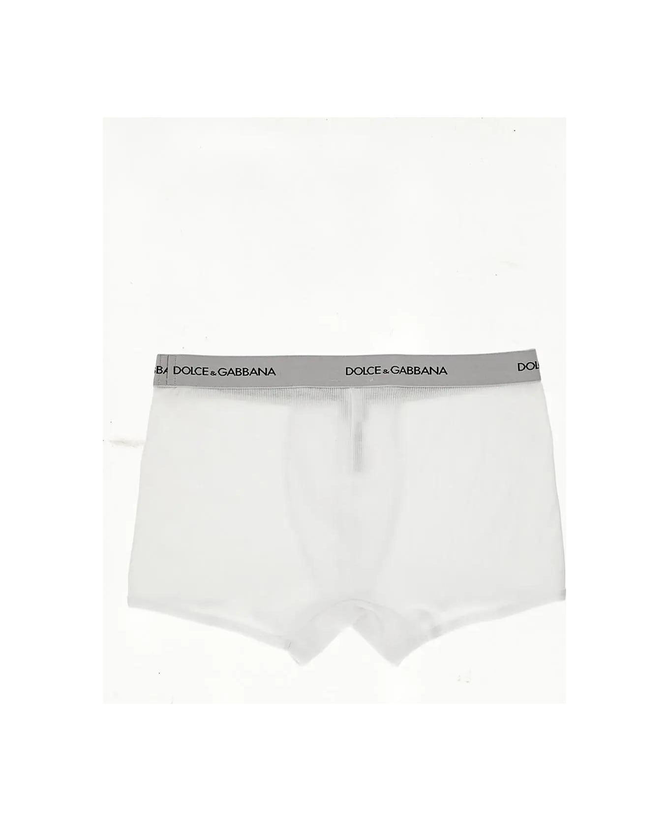 Regular Boxer - 2