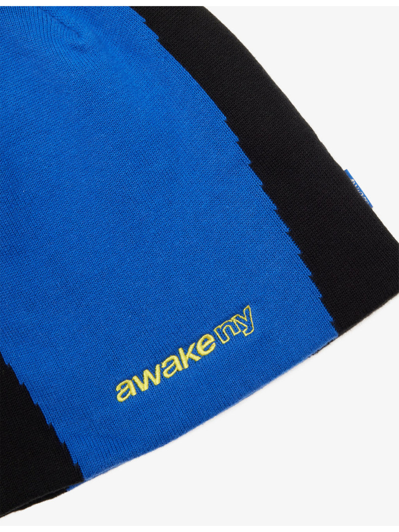 AWAKE NY Panel Knitted Cotton Beanie outlook