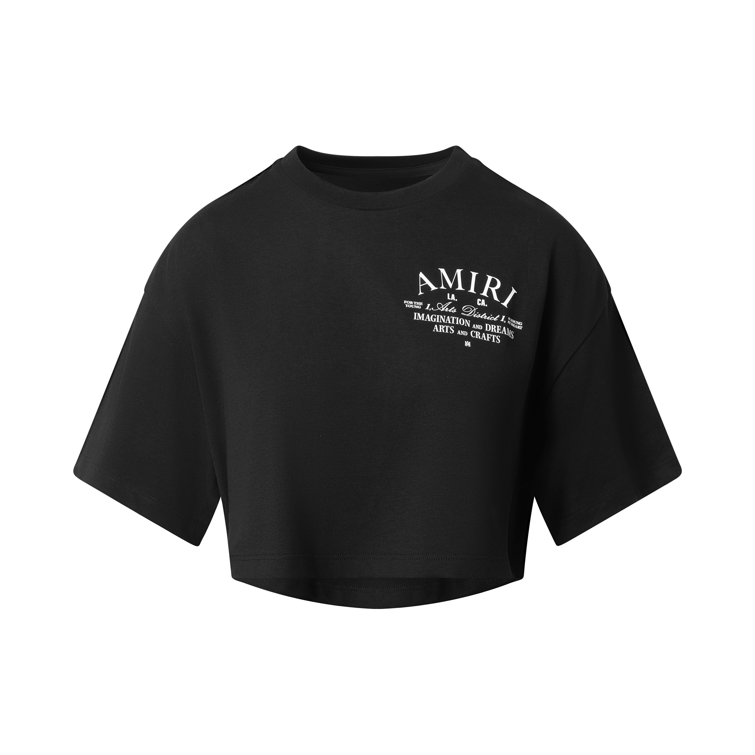 Arts District Cropped T-Shirt in Black - 2