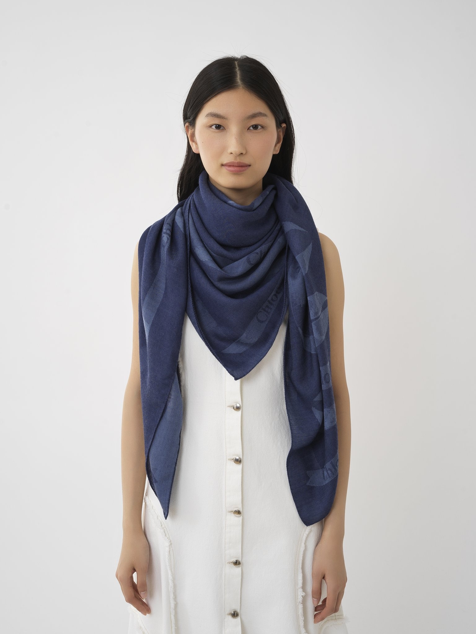RIBBON JACQUARD SHAWL - 2