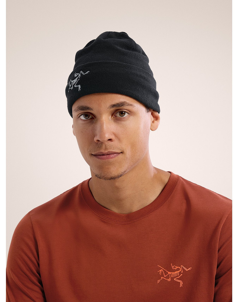 Arc'teryx Embroidered Bird Toque outlook