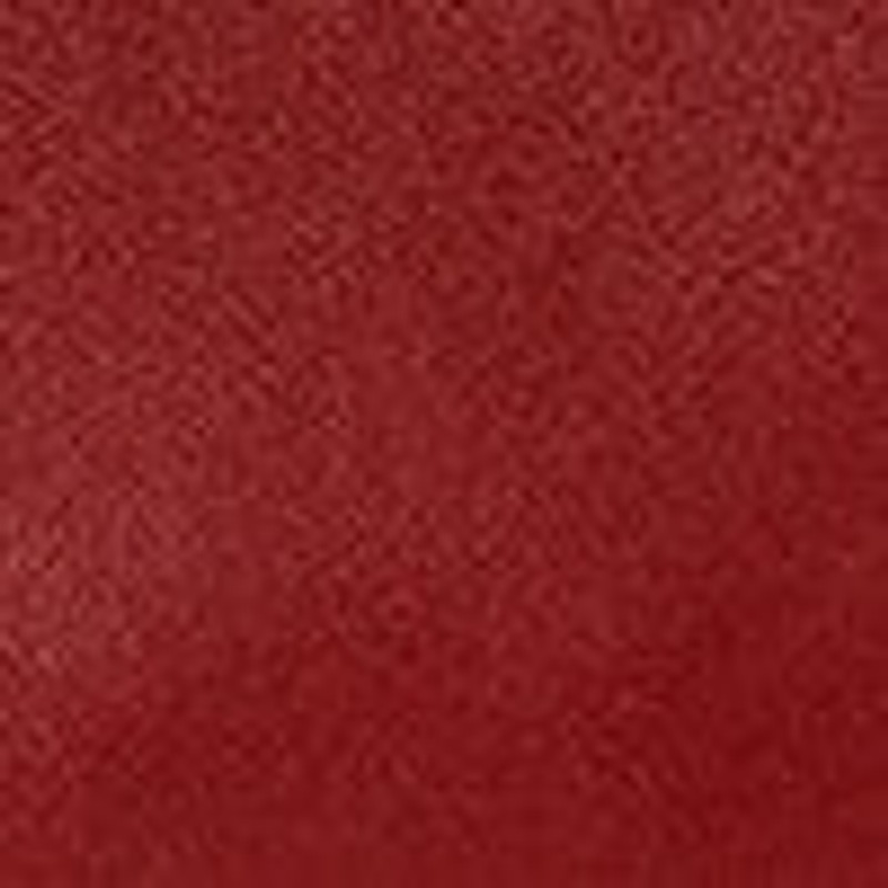 Dalia Baguette in Leather 5