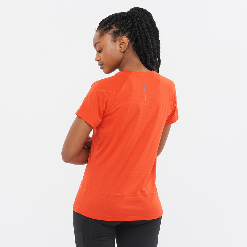 SALOMON CROSS RUN outlook