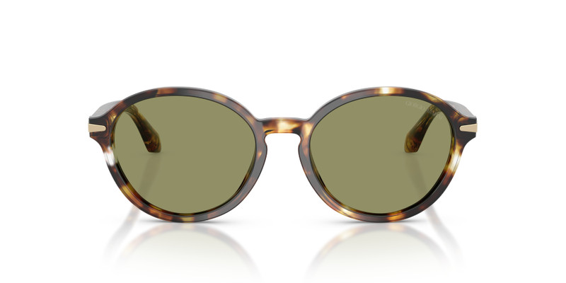 GIORGIO ARMANI AR8237 outlook