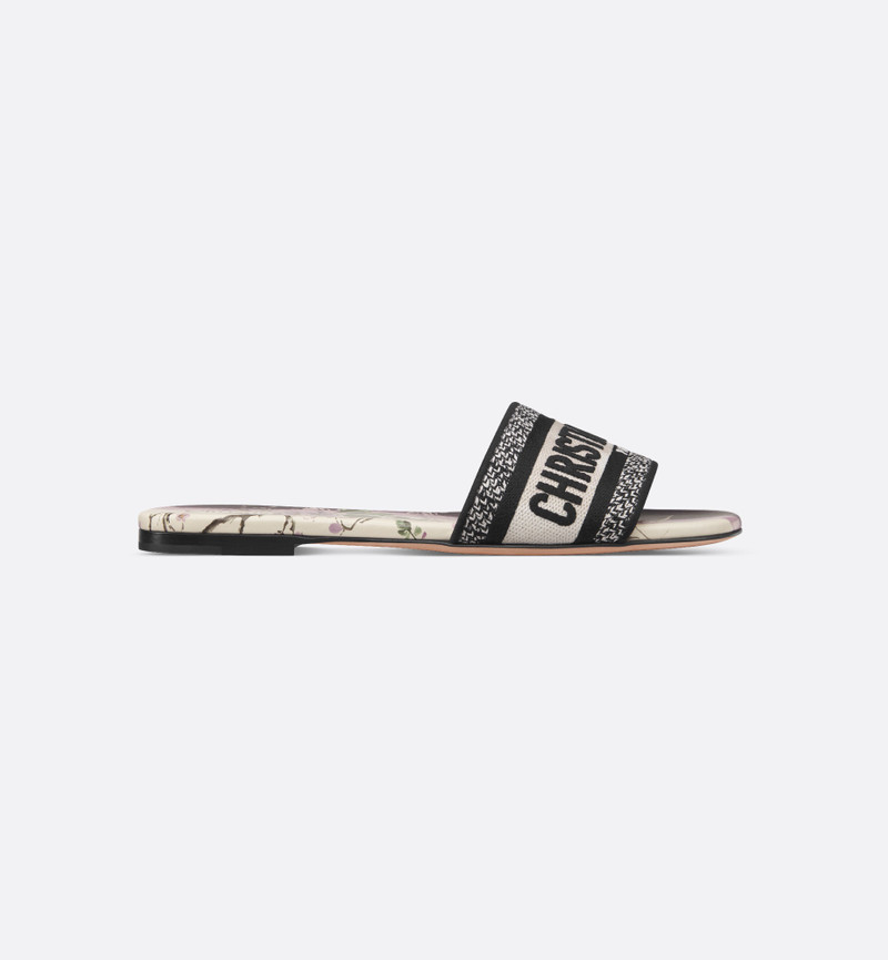 Dior Dway Slide outlook
