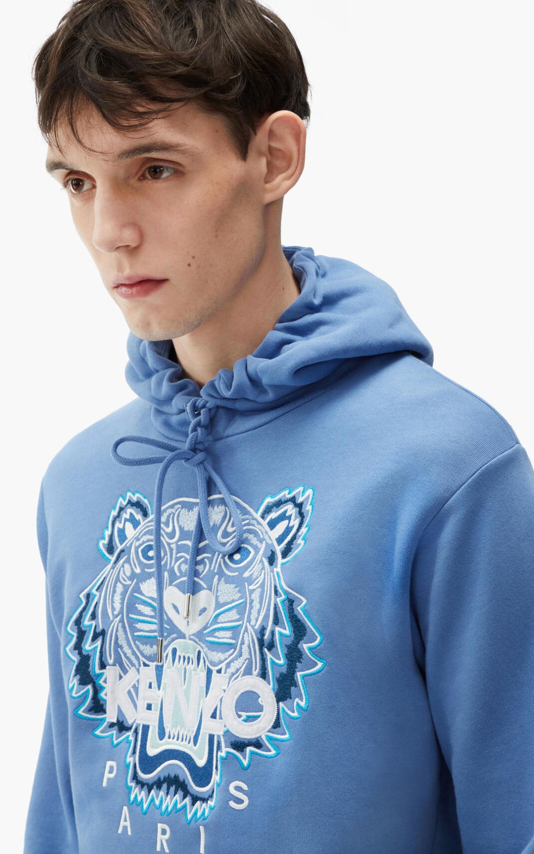 Tiger hooded sweatshirt - 4