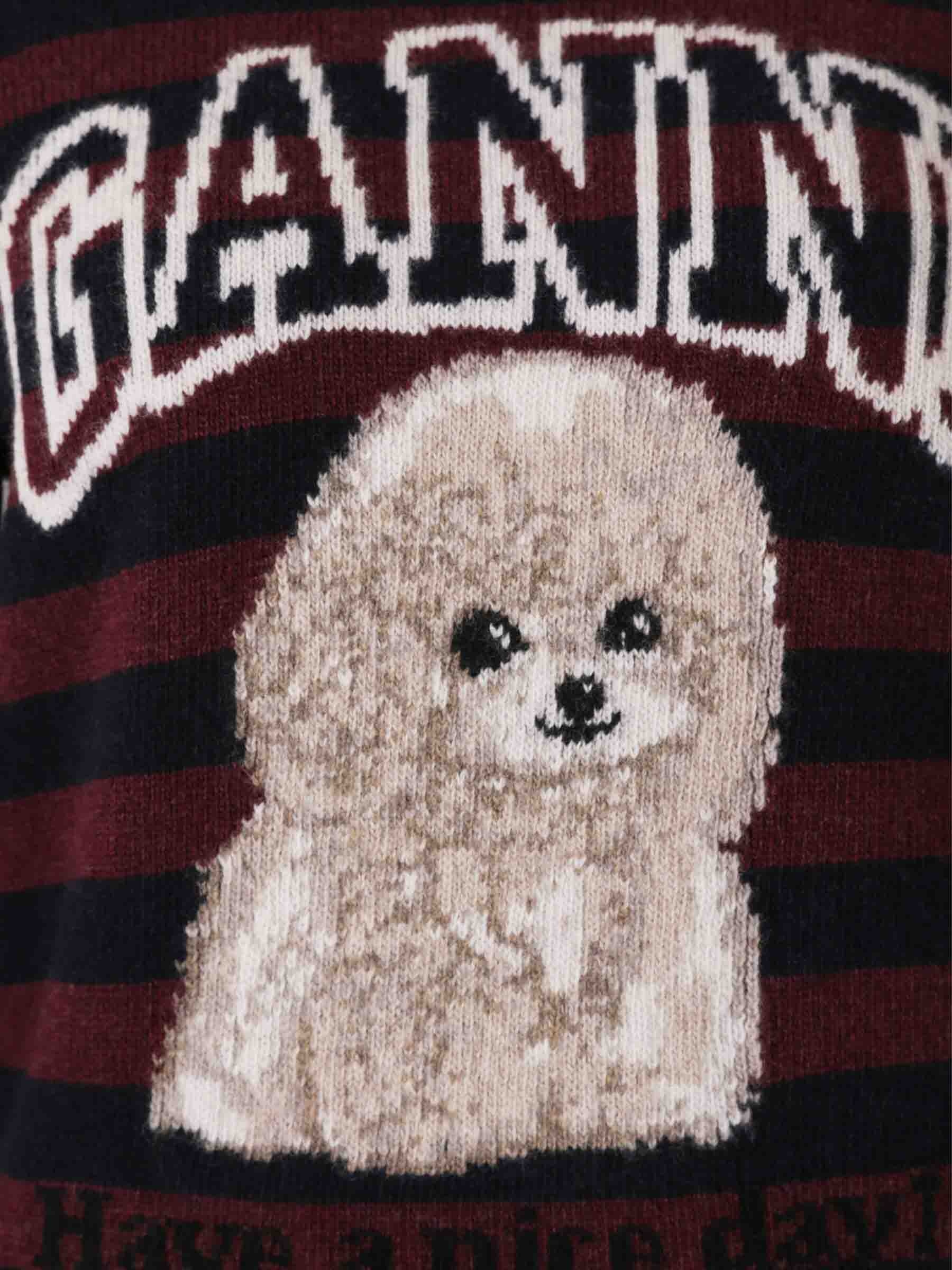 JERSEY STRIPED POODLE - 4