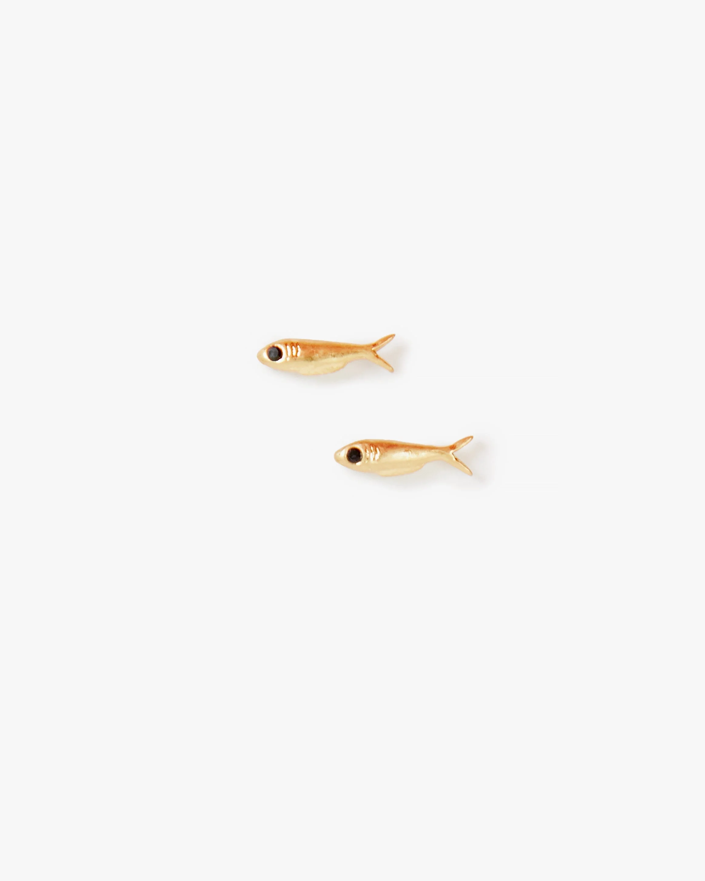 Sardine Stud Earrings - 1