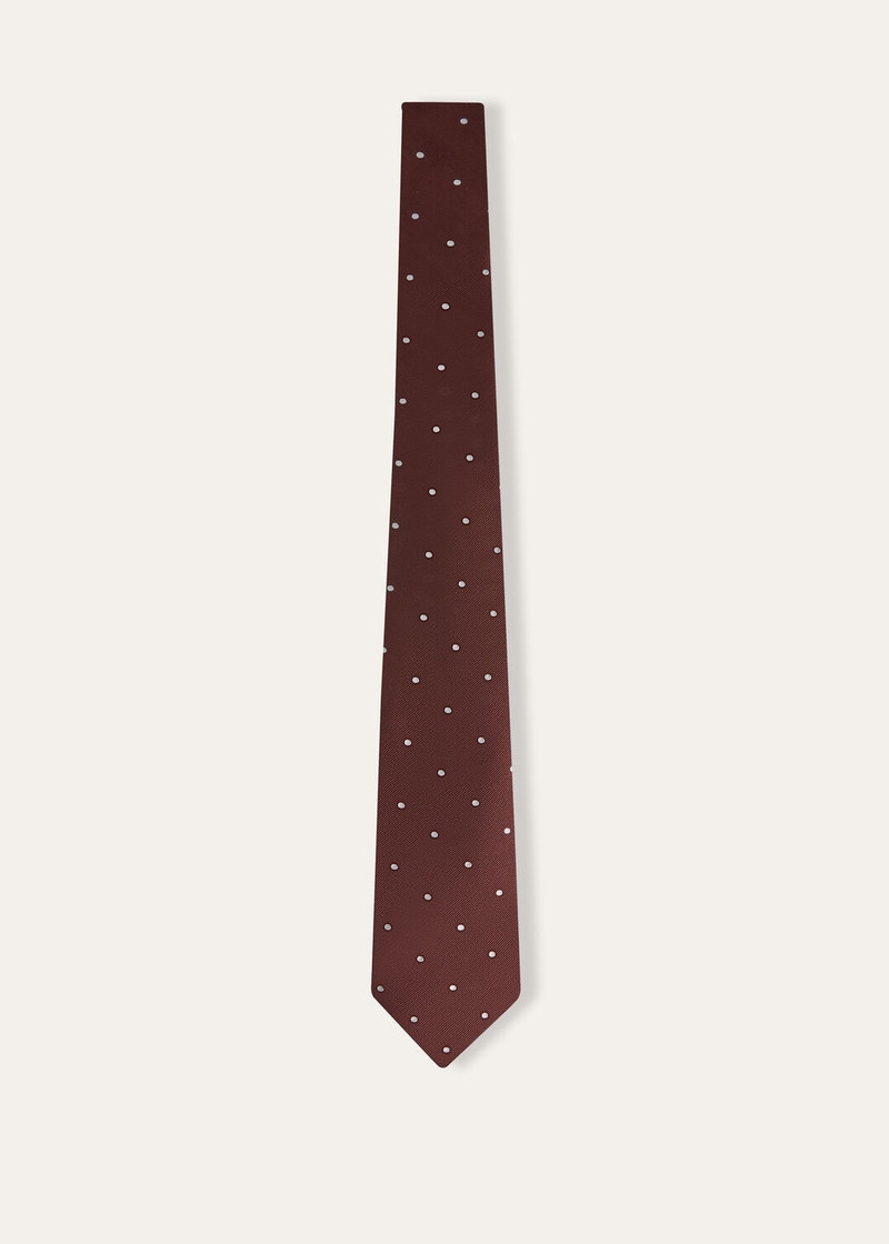 Loro Piana My Spots Tie outlook