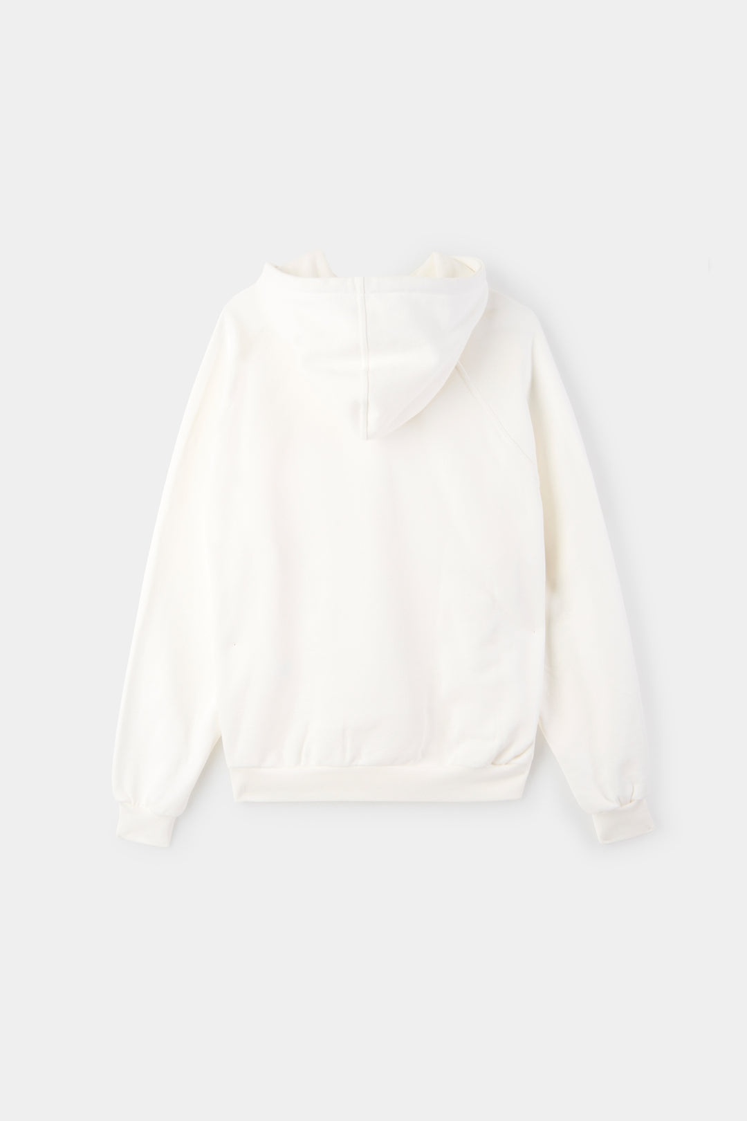 EMBROIDERED HOODIE / dust - 4