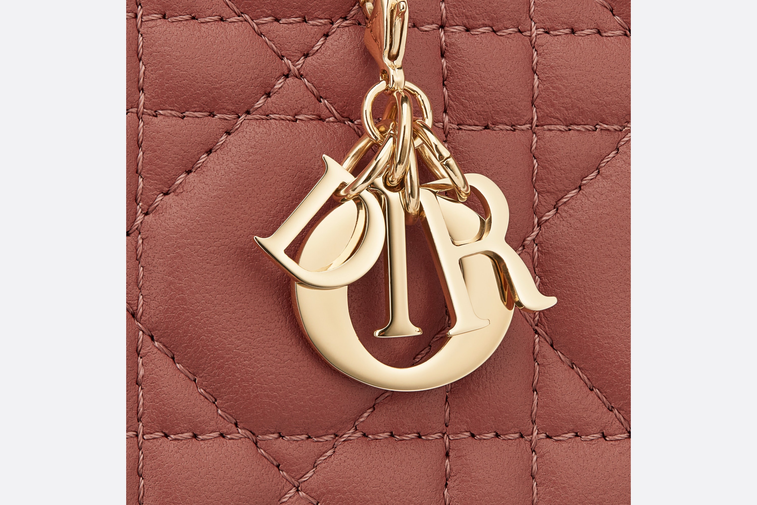 Lady Dior Flap Card Holder - 5