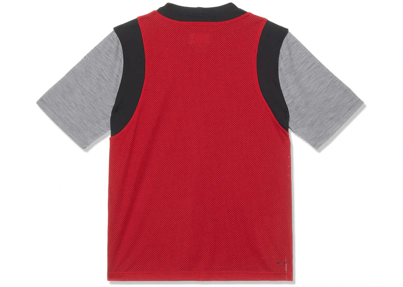 Jordan Jordan Sport Dri-Fit T-shirt Red/Black/Grey outlook