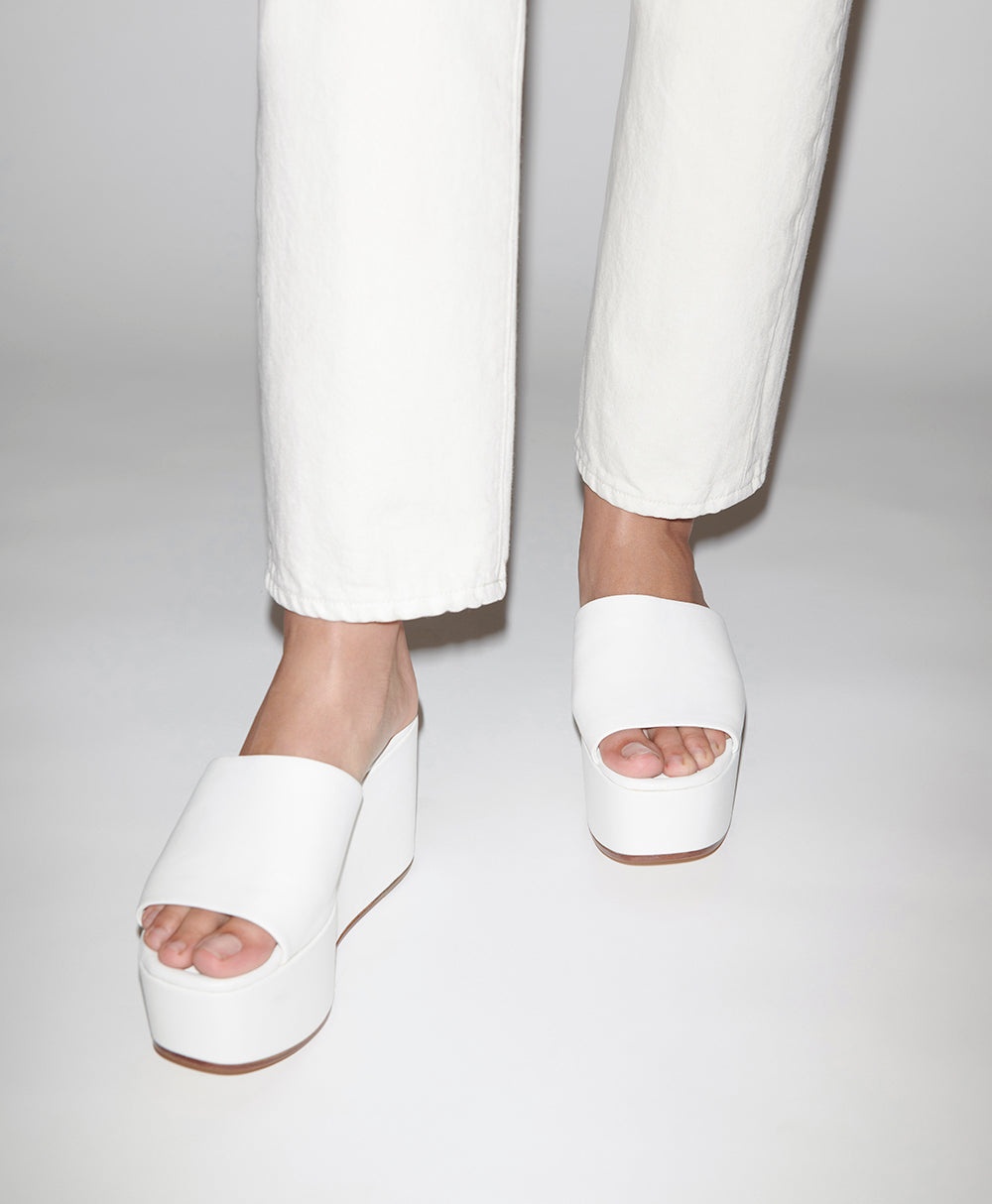 PLATFORM MULE - 4