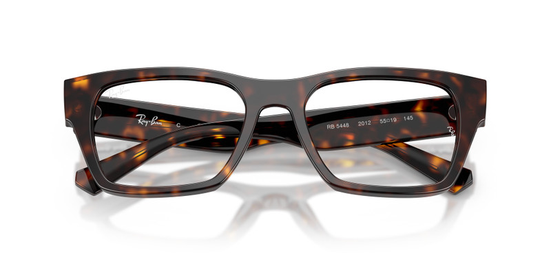 Ray-Ban RB5448 OPTICS outlook