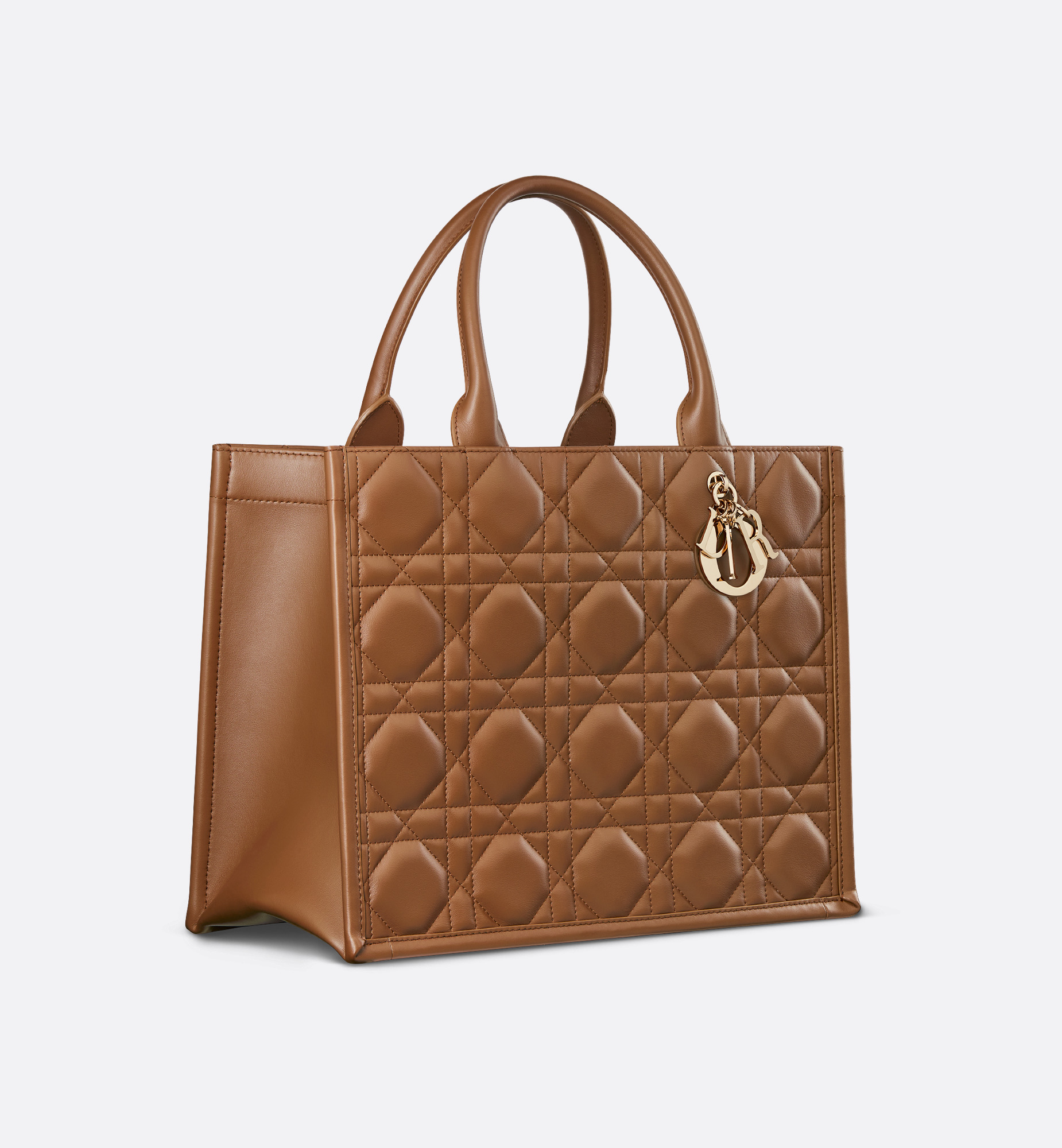 Medium Dior Book Tote - 3