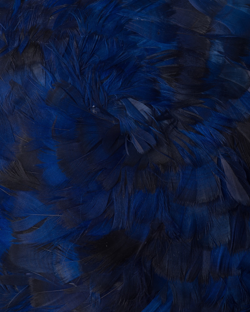 Patent leather and feather hat 3