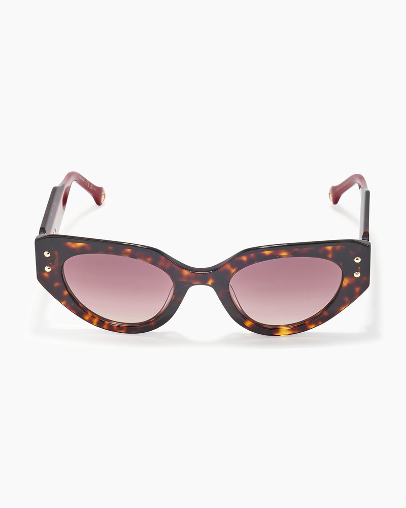 Oval Frame Sunglasses With Contrast Temples 1