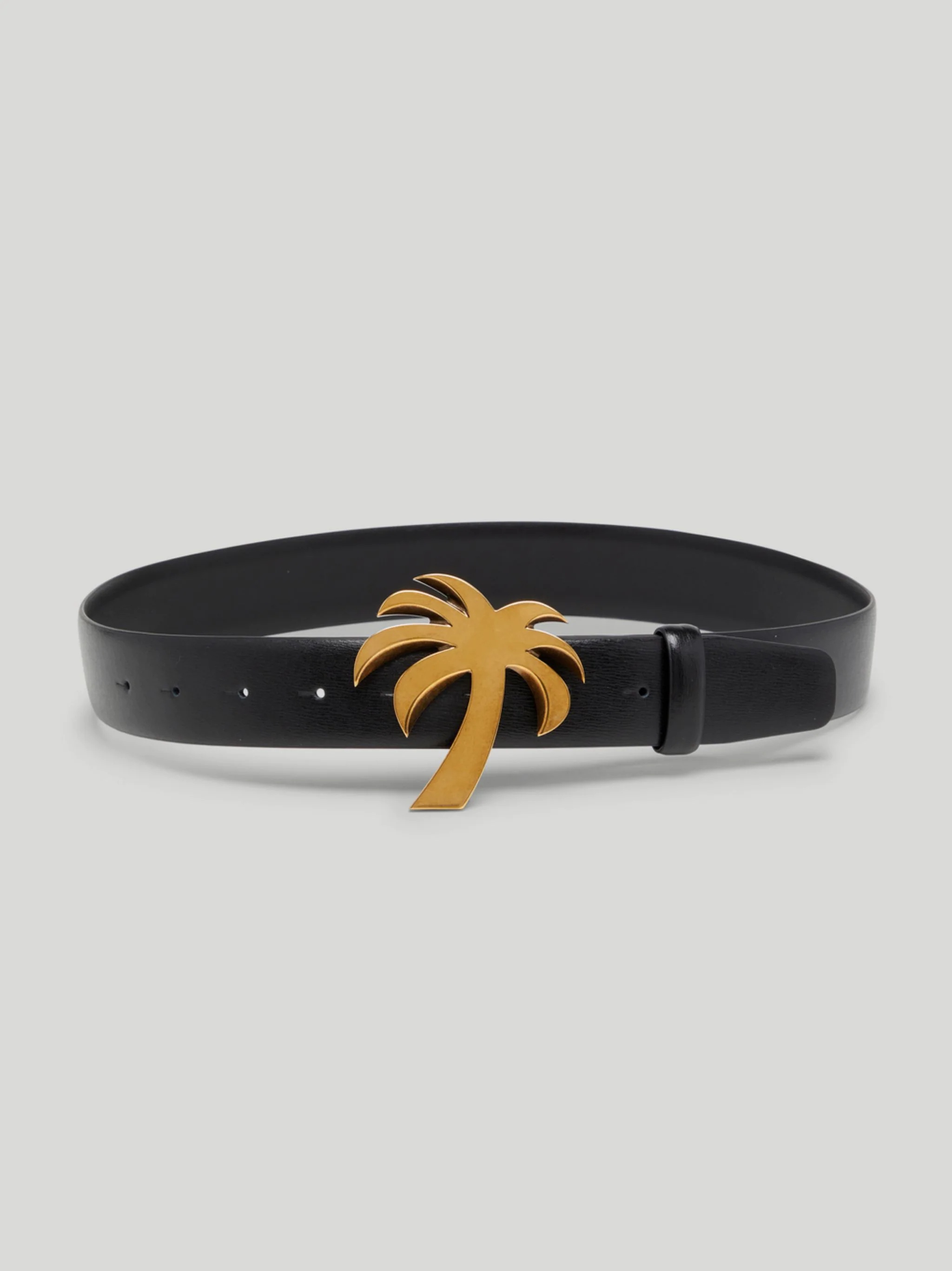 PALM BELT - 1