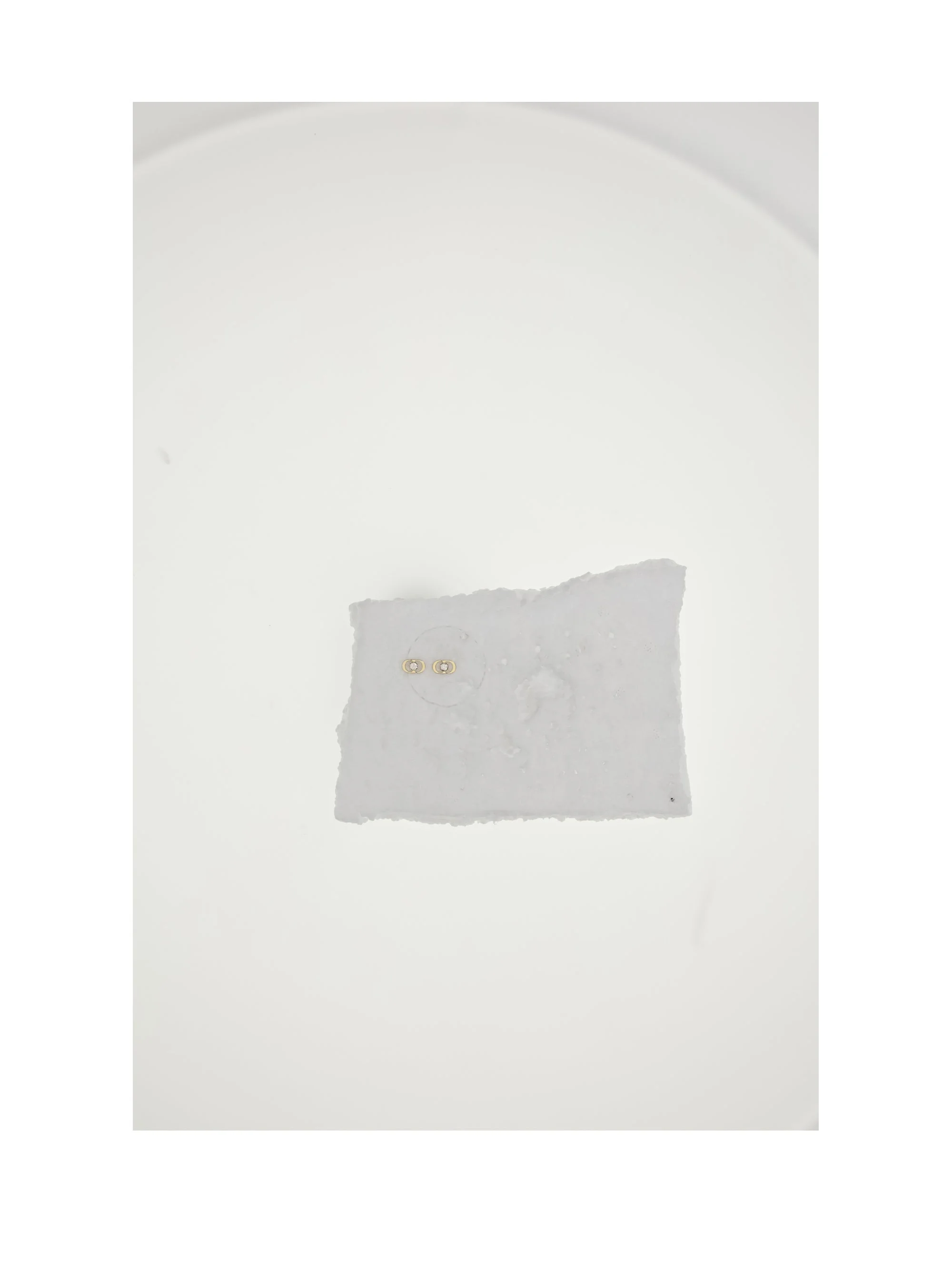 Dior Women Petit Cd Jolie Studs Earrings - 1