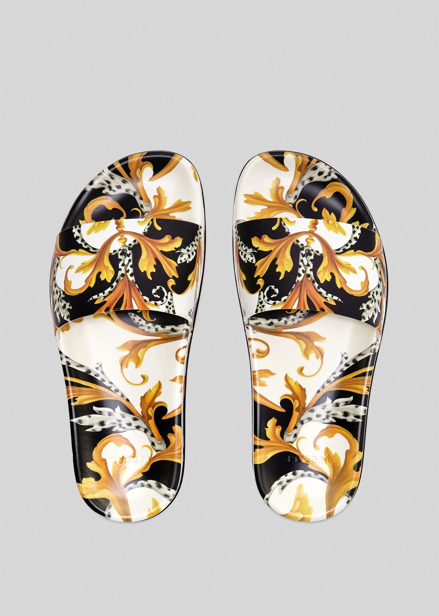 Acanthus Print Slides - 3