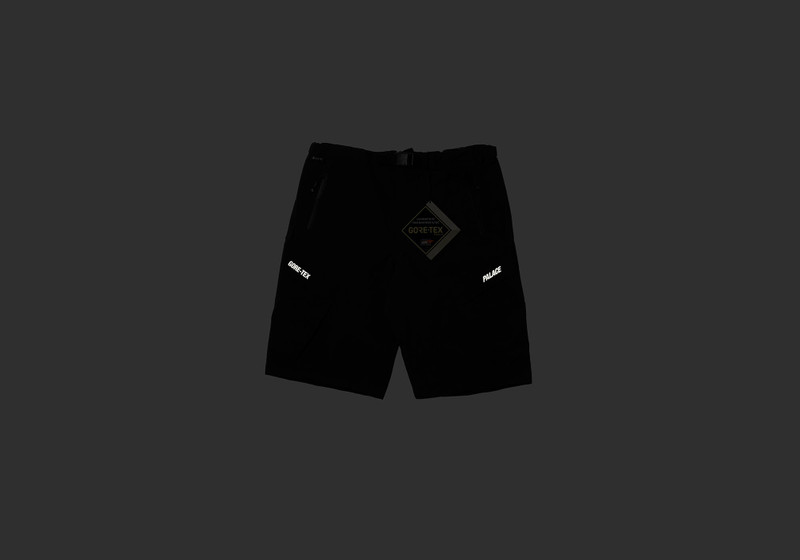 PALACE GORE-TEX R-TEK CARGO SHORT BLACK outlook