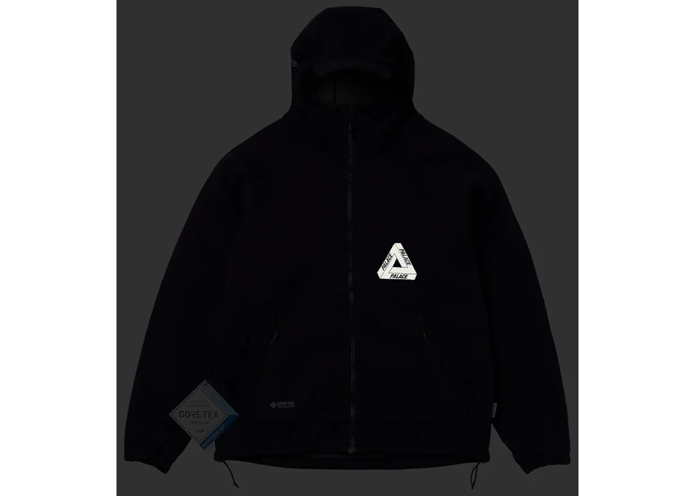Palace Gore-Tex Infinium Cap Jacket Deep Purple - 2