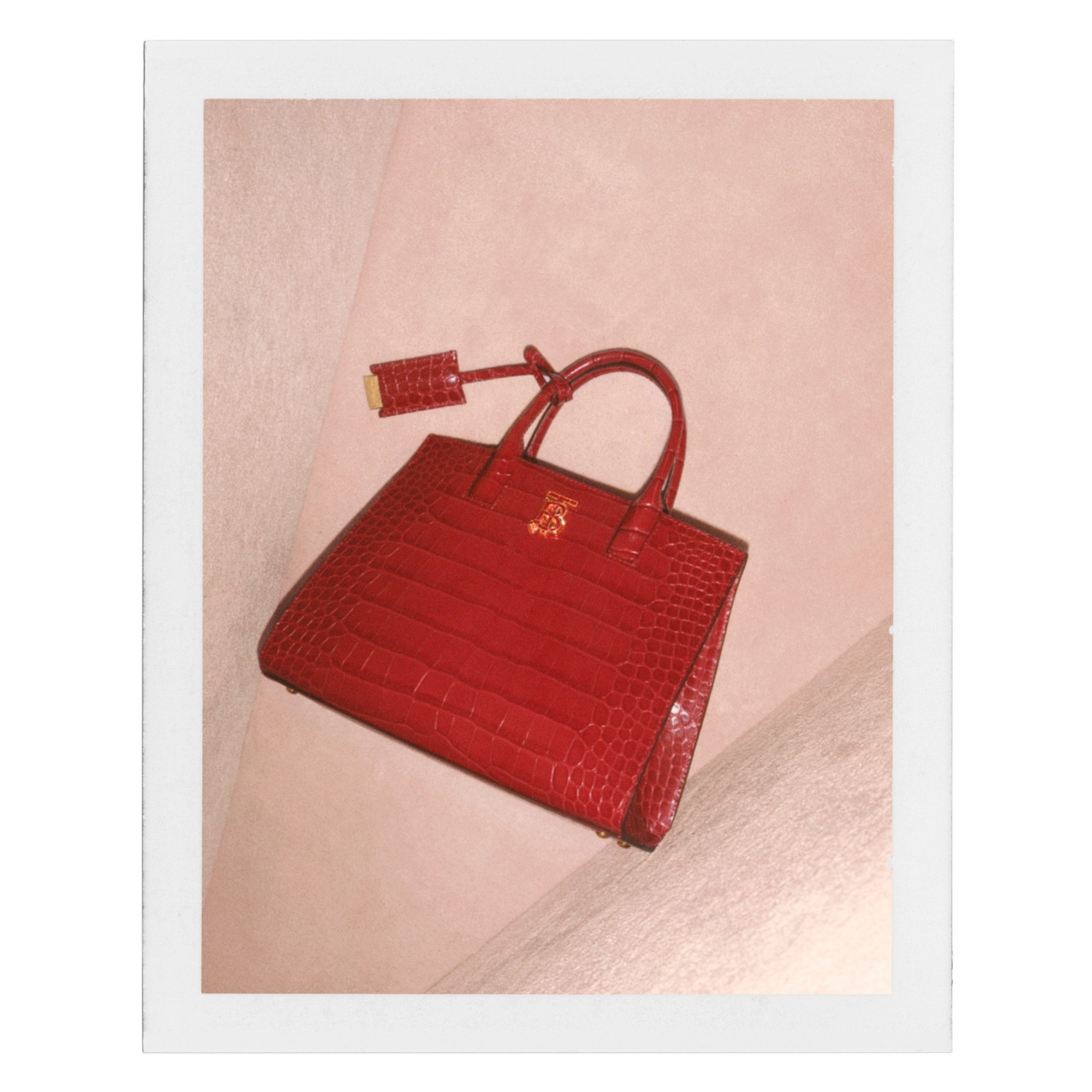 Mini Embossed Leather Frances Bag - 12