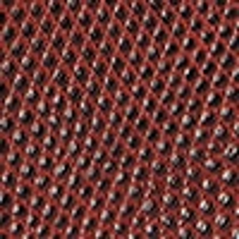 CC Holder Necklace in Lizard 3