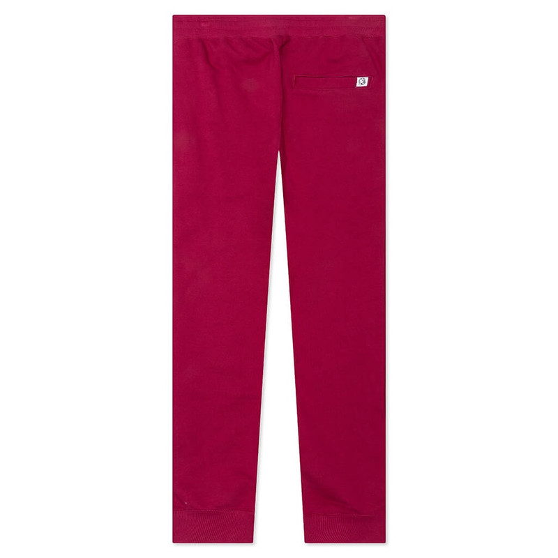 BILLIONAIRE BOYS CLUB BB ICON JOGGER - ANEMONE outlook