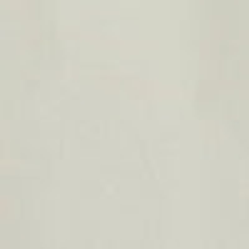 Gunther Short in Cotton 6